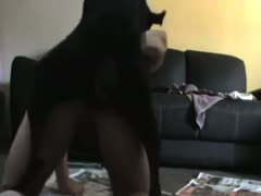 Dude removes his taut belt pants and welcomes anal penetration from his hung dog